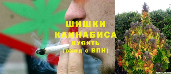 прущая мука Богданович