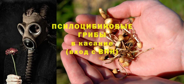 соль ск Богородицк