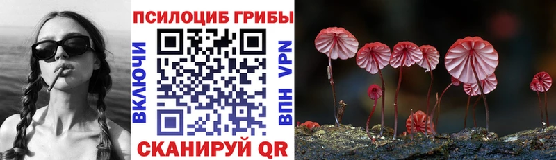 Псилоцибиновые грибы MAGIC MUSHROOMS  магазин  наркотиков  Новый Уренгой 